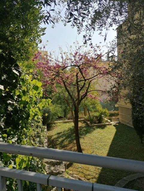 Villa Soraya , Quiet Location With Big Garden Near Beach And Old Town Of Nicea Zewnętrze zdjęcie